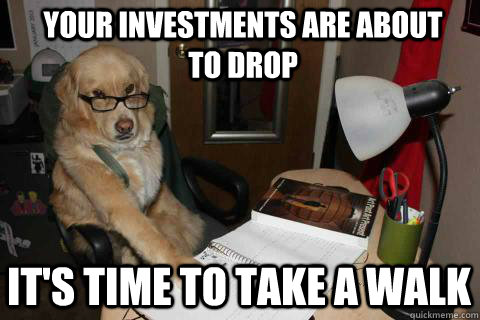 Your investments are about to drop It's time to take a walk - Your investments are about to drop It's time to take a walk  Financial Advice Dog