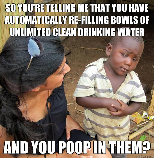 So you're telling me that you have automatically re-filling bowls of unlimited clean drinking water  and you poop in them?  Skeptical 3 world kid