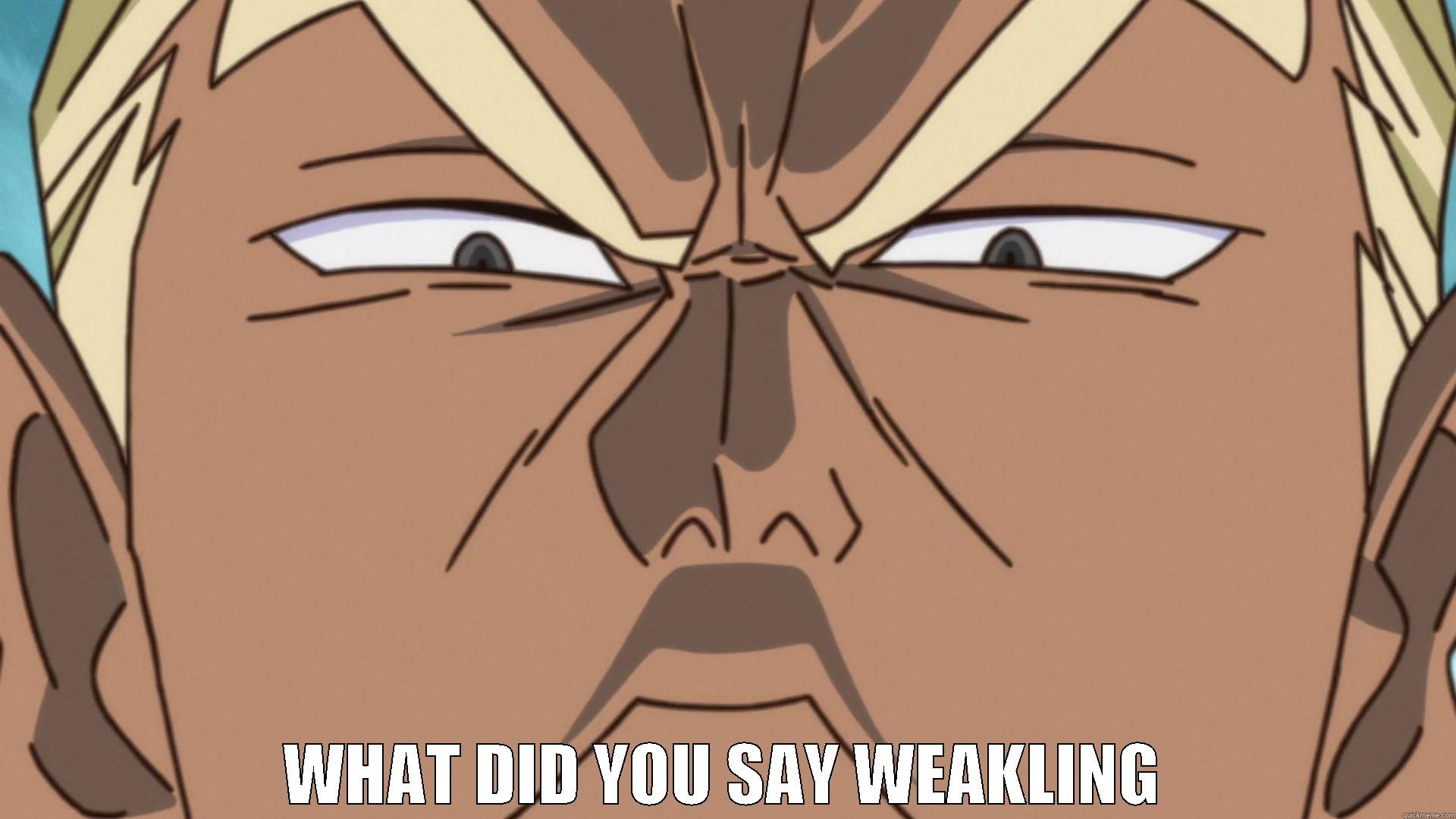  WHAT DID YOU SAY WEAKLING Misc