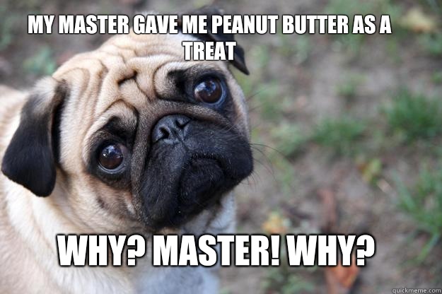 My master gave me peanut butter as a treat Why? Master! Why?  First World Dog problems