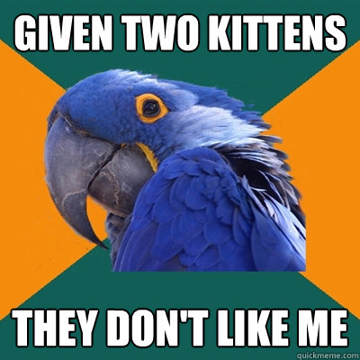 Given two kittens They don't like me  Paranoid Parrot