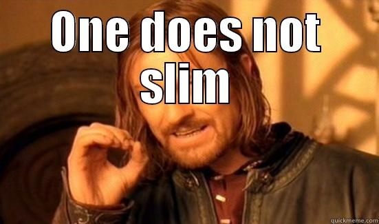 ONE DOES NOT SLIM  Boromir