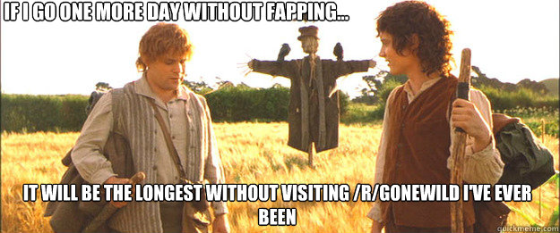             if i go one more day without fapping... it will be the longest without visiting /r/gonewild i've ever been  Samwise the Brave
