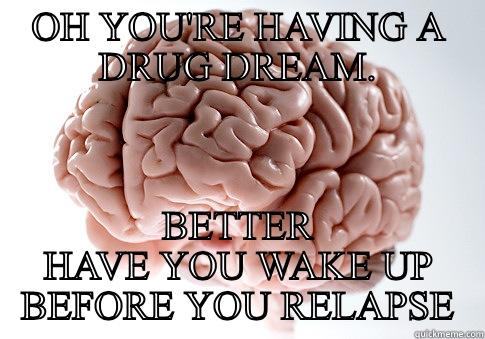 OH YOU'RE HAVING A DRUG DREAM. BETTER HAVE YOU WAKE UP BEFORE YOU RELAPSE Scumbag Brain