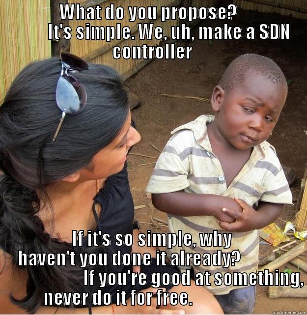                  WHAT DO YOU PROPOSE?                              IT'S SIMPLE. WE, UH, MAKE A SDN CONTROLLER IF IT'S SO SIMPLE, WHY HAVEN'T YOU DONE IT ALREADY?                                      IF YOU'RE GOOD AT SOMETHING, NEVER DO IT FOR FREE.                     Skeptical Third World Kid