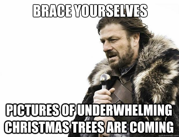 Brace yourselves Pictures of underwhelming christmas trees are coming - Brace yourselves Pictures of underwhelming christmas trees are coming  Misc
