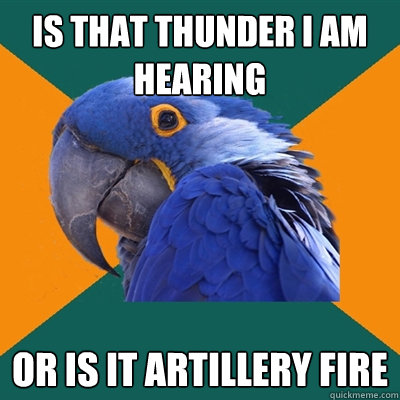 is that thunder i am hearing or is it artillery fire  Paranoid Parrot
