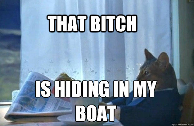 That bitch IS HIDING IN MY BOAT  Sophisticated Cat