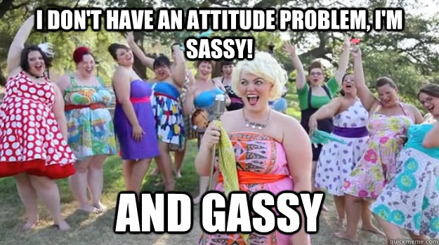 I don't have an attitude problem, I'm sassy! and gassy  Big Girl Party