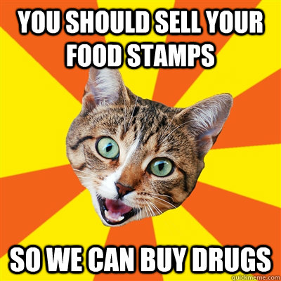 you should sell your food stamps so we can buy drugs - you should sell your food stamps so we can buy drugs  Bad Advice Cat