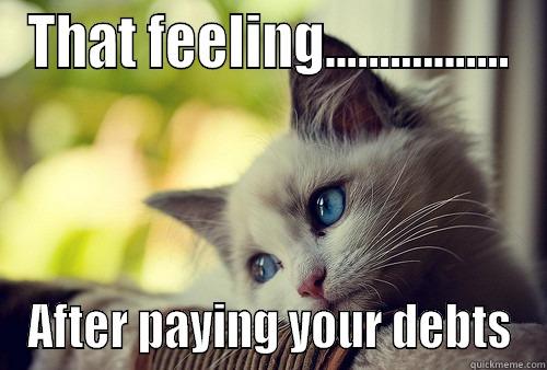 THAT FEELING................. AFTER PAYING YOUR DEBTS First World Problems Cat