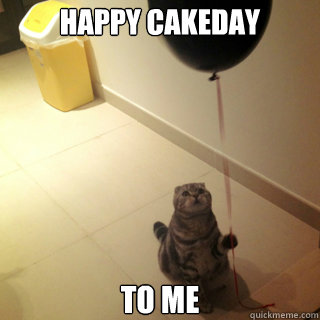 Happy Cakeday To me  Sad Birthday Cat