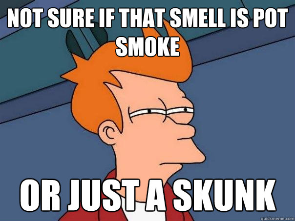 Not sure if that smell is pot smoke or just a Skunk  Futurama Fry
