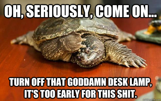 Oh, seriously, come on... turn off that goddamn desk lamp, it's too early for this shit. - Oh, seriously, come on... turn off that goddamn desk lamp, it's too early for this shit.  Hangover turtle
