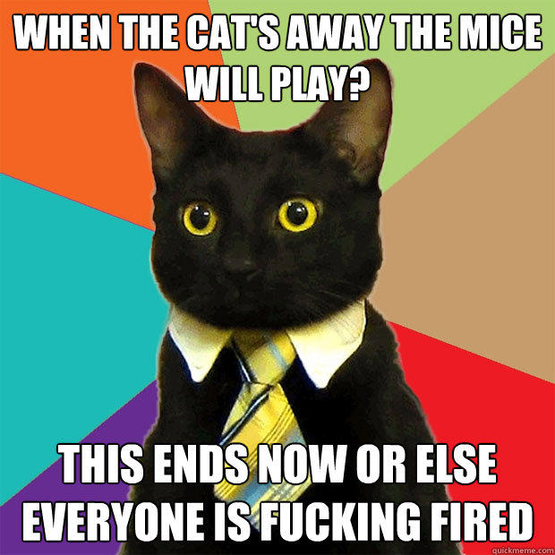 When the cat's away the mice will play? This ends now or else everyone is fucking fired - When the cat's away the mice will play? This ends now or else everyone is fucking fired  Business Cat