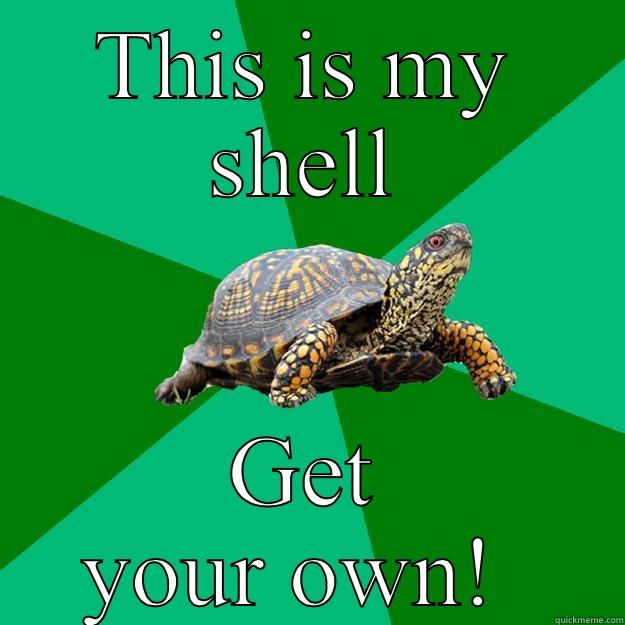 Get your own shell!  - THIS IS MY SHELL GET YOUR OWN!  Torrenting Turtle