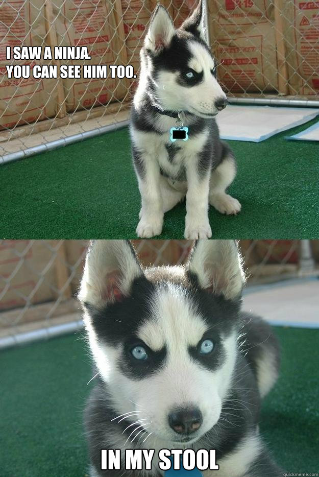 I saw a ninja.  
You can see him too. in my stool  Insanity puppy