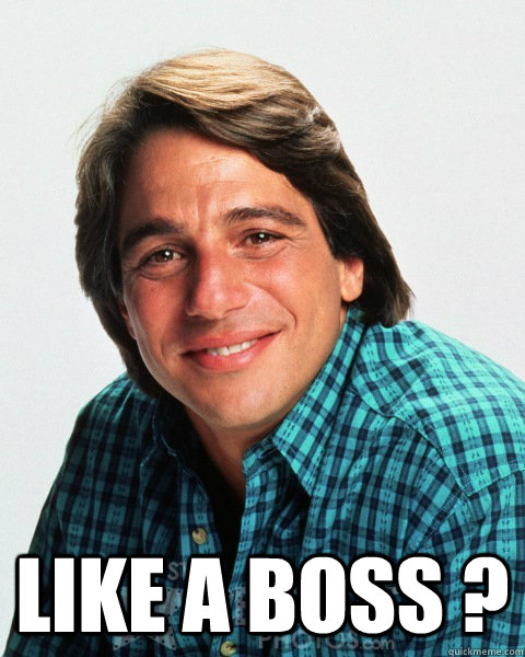  Like a Boss ? -  Like a Boss ?  Tony Danza