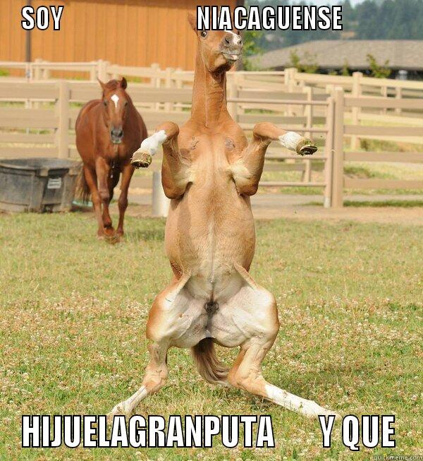 SOY                             NIACAGUENSE             HIJUELAGRANPUTA       Y QUE Misc