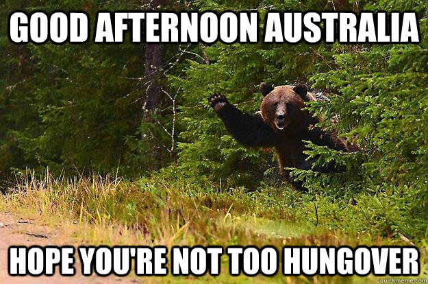 Good Afternoon australia hope you're not too hungover - Good Afternoon australia hope you're not too hungover  Greetings Bear