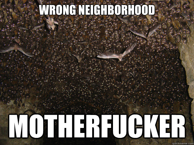 Wrong Neighborhood Motherfucker  Wrong Neighborhood