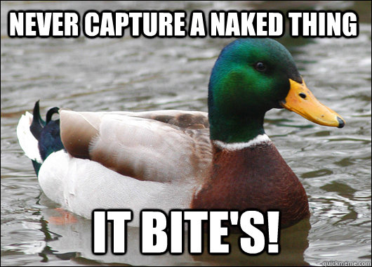 Never Capture A Naked Thing It Bite's!  Actual Advice Mallard