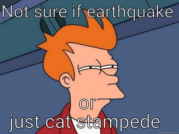 NOT SURE IF EARTHQUAKE  OR JUST CAT STAMPEDE  Futurama Fry