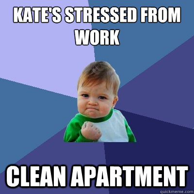 Kate's stressed from work clean apartment  Success Kid