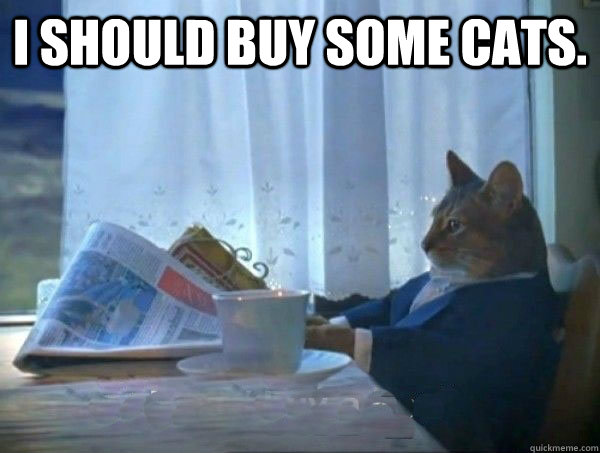 I should buy some cats.  - I should buy some cats.   morning realization newspaper cat meme