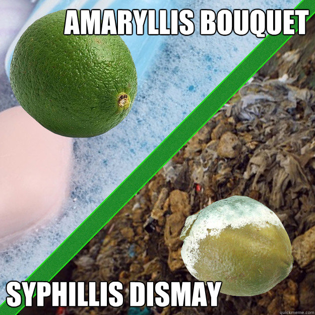 amaryllis bouquet syphillis dismay  Prime Lime Grime Lime Rhyme Time