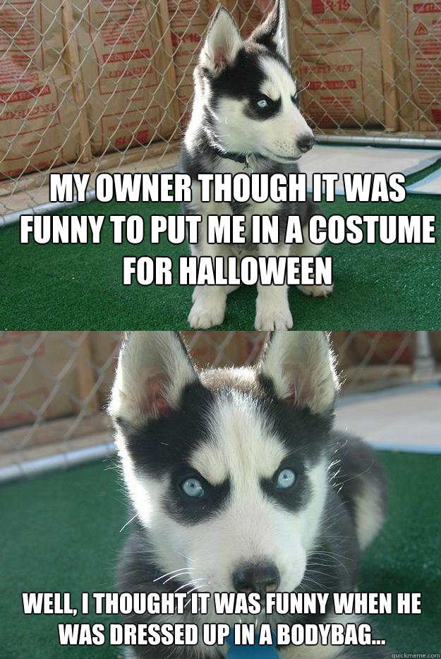 My owner though it was funny to put me in a costume for halloween Well, i thought it was funny when he was dressed up in a bodybag...  Insanity puppy
