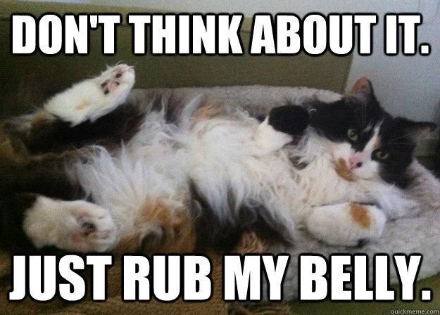 Don't think about it. Just rub my belly. - Don't think about it. Just rub my belly.  belly rub nixy