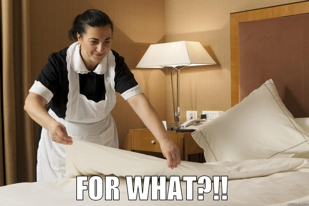 Turn down for what (the maid) -  FOR WHAT?!! Misc
