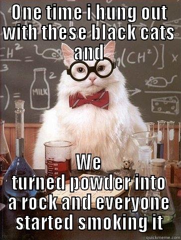ONE TIME I HUNG OUT WITH THESE BLACK CATS AND WE TURNED POWDER INTO A ROCK AND EVERYONE STARTED SMOKING IT Chemistry Cat