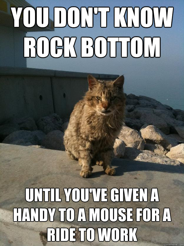 you don't know rock bottom until you've given a handy to a mouse for a ride to work  Bitter Cat