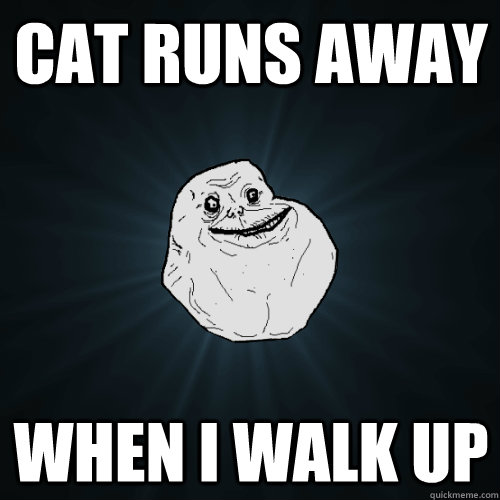 Cat runs away when I walk up  Forever Alone