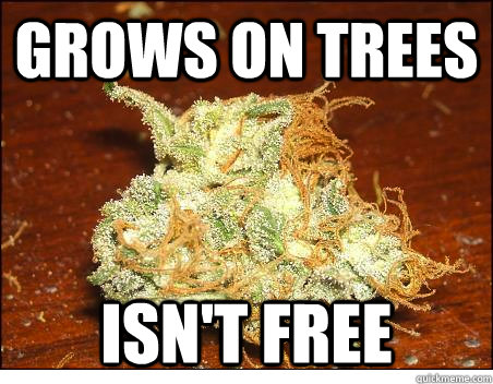 Grows on trees isn't free - Grows on trees isn't free  Scumbag Trees