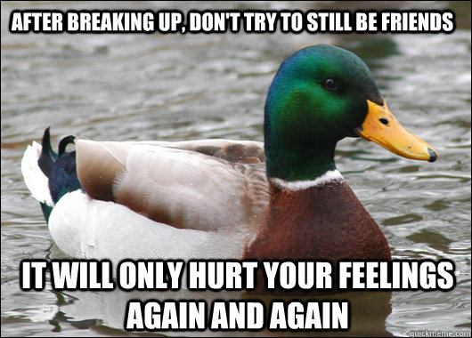 After breaking up, don't try to still be friends  it will only hurt your feelings again and again  Actual Advice Mallard