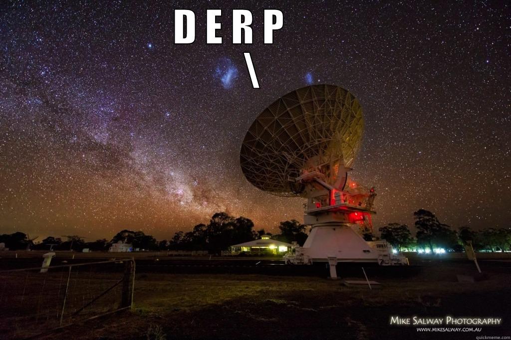 derp dish -                      D E R P                            \  Misc