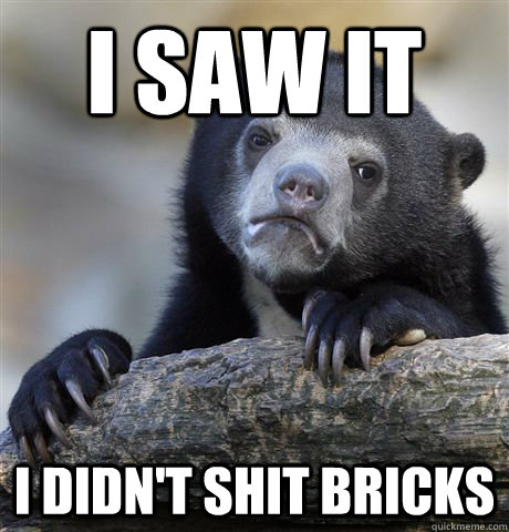 I saw it I didn't shit bricks  Confession Bear