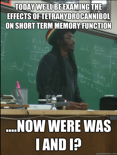 today we'll be examing the effects of tetrahydrocannibol on short term memory function ....now were was I and I? - today we'll be examing the effects of tetrahydrocannibol on short term memory function ....now were was I and I?  Rasta Science Teacher