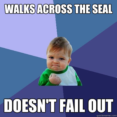 walks across the seal doesn't fail out  Success Kid