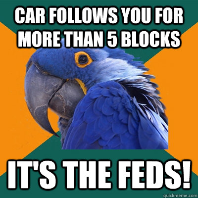 Car follows you for more than 5 blocks it's the feds!  Paranoid Parrot