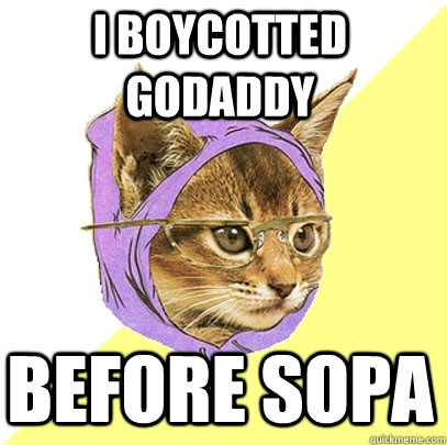 I Boycotted GoDADDY BEFORE SOPA  Hipster Kitty