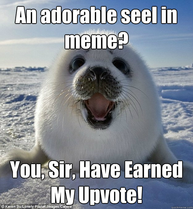 An adorable seel in meme? You, Sir, Have Earned My Upvote!  Easily Pleased Seal