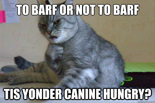 To barf or not to barf tis yonder canine hungry? - To barf or not to barf tis yonder canine hungry?  soliloquy cat