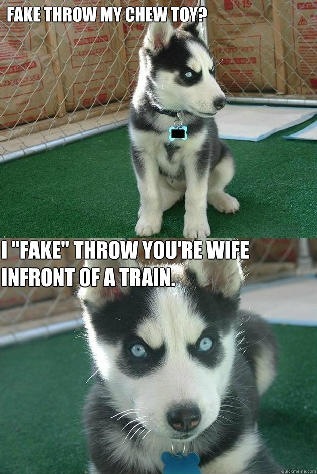 Fake throw my chew toy? I 