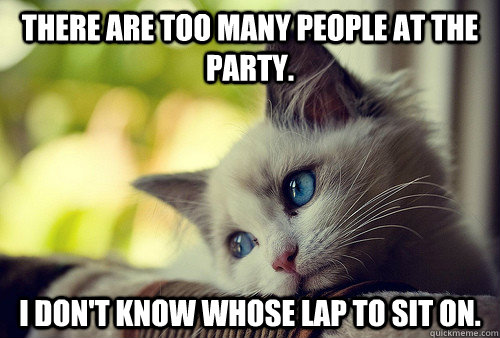 There are too many people at the party. I don't know whose lap to sit on.  First World Problems Cat