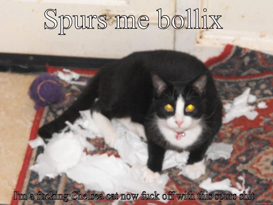 SPURS ME BOLLIX I'M A FUCKING CHELSEA CAT NOW FUCK OFF WITH THIS SPURS SHIT  Misc