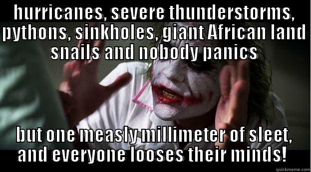 HURRICANES, SEVERE THUNDERSTORMS, PYTHONS, SINKHOLES, GIANT AFRICAN LAND SNAILS AND NOBODY PANICS BUT ONE MEASLY MILLIMETER OF SLEET, AND EVERYONE LOOSES THEIR MINDS!  Joker Mind Loss